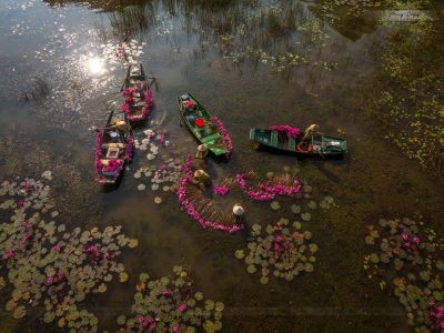 Boating Along the Water Lily Fields - Source: Pham Hoang Cuong Boating Along the Water Lily Fields - Source: Pham Hoang Cuong