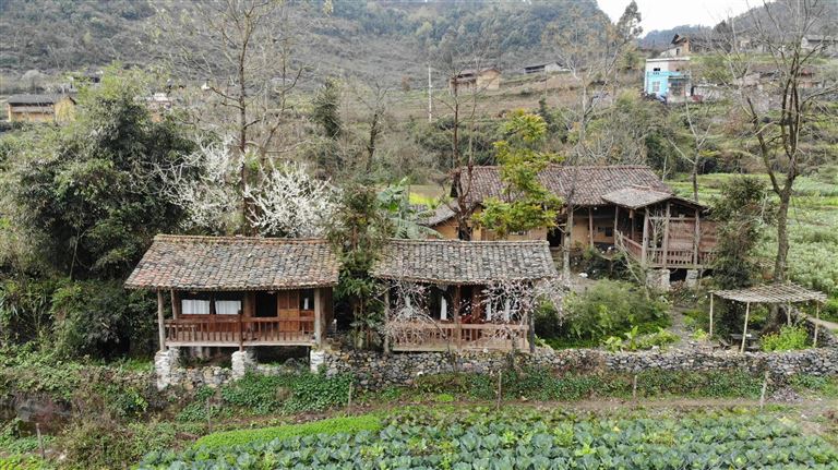 Top 7 Lung Cu Homestays – Scenic Views & Affordable Stays