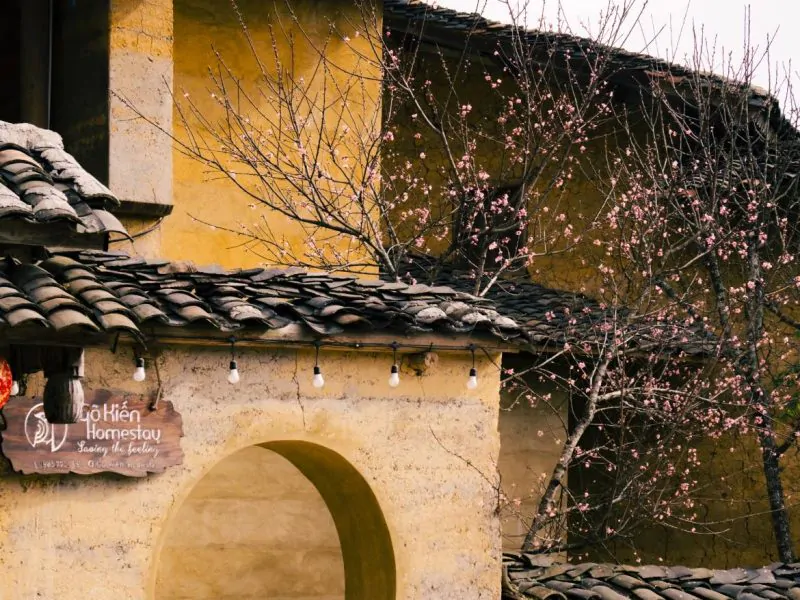 Admire traditional architecture