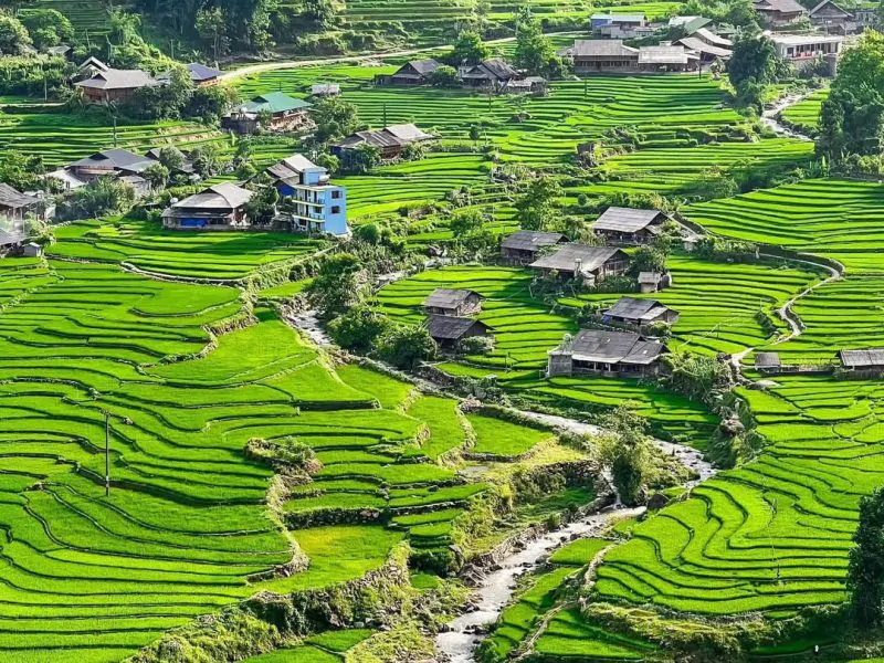 Exploring Vietnam with our Exclusive Tour Packages Ta Van Village – Sapa’s Hidden Gem in Rice Season