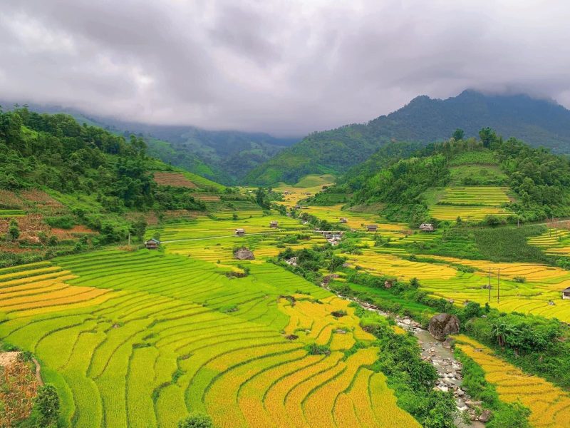 Nam Cang (Sa Pa) Nam Cang (Sa Pa)