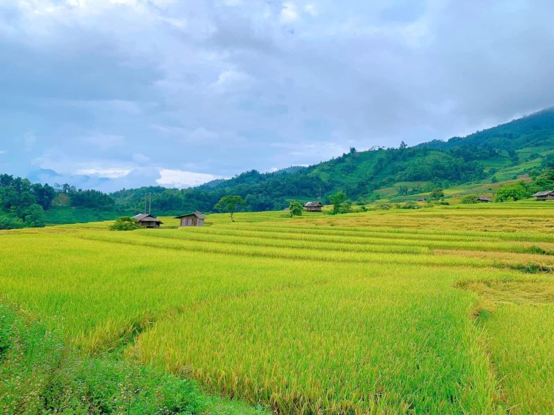 Nam Cang (Sa Pa) Nam Cang (Sa Pa)