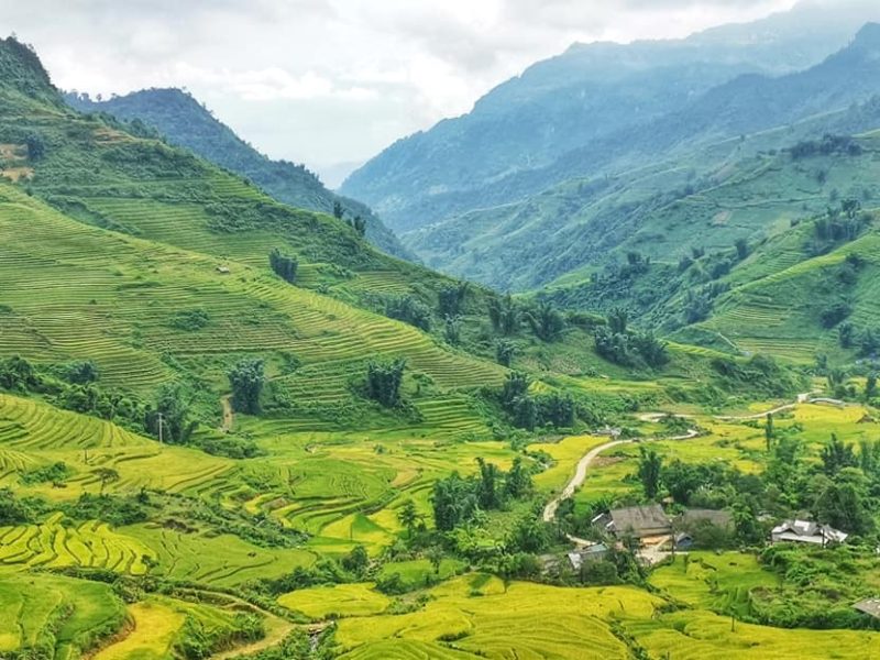 Y Tý , Lào Cai Y Tý , Lào Cai