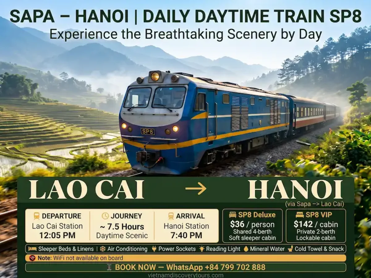 Sapa to Hanoi Train SP8: Full Schedule, Cabin Prices & Booking Guide
