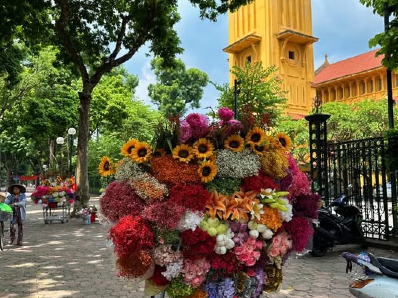 Hanoi in October: The Most Beautiful Season of the Year The flower bikes in Phan Dinh Phung Street